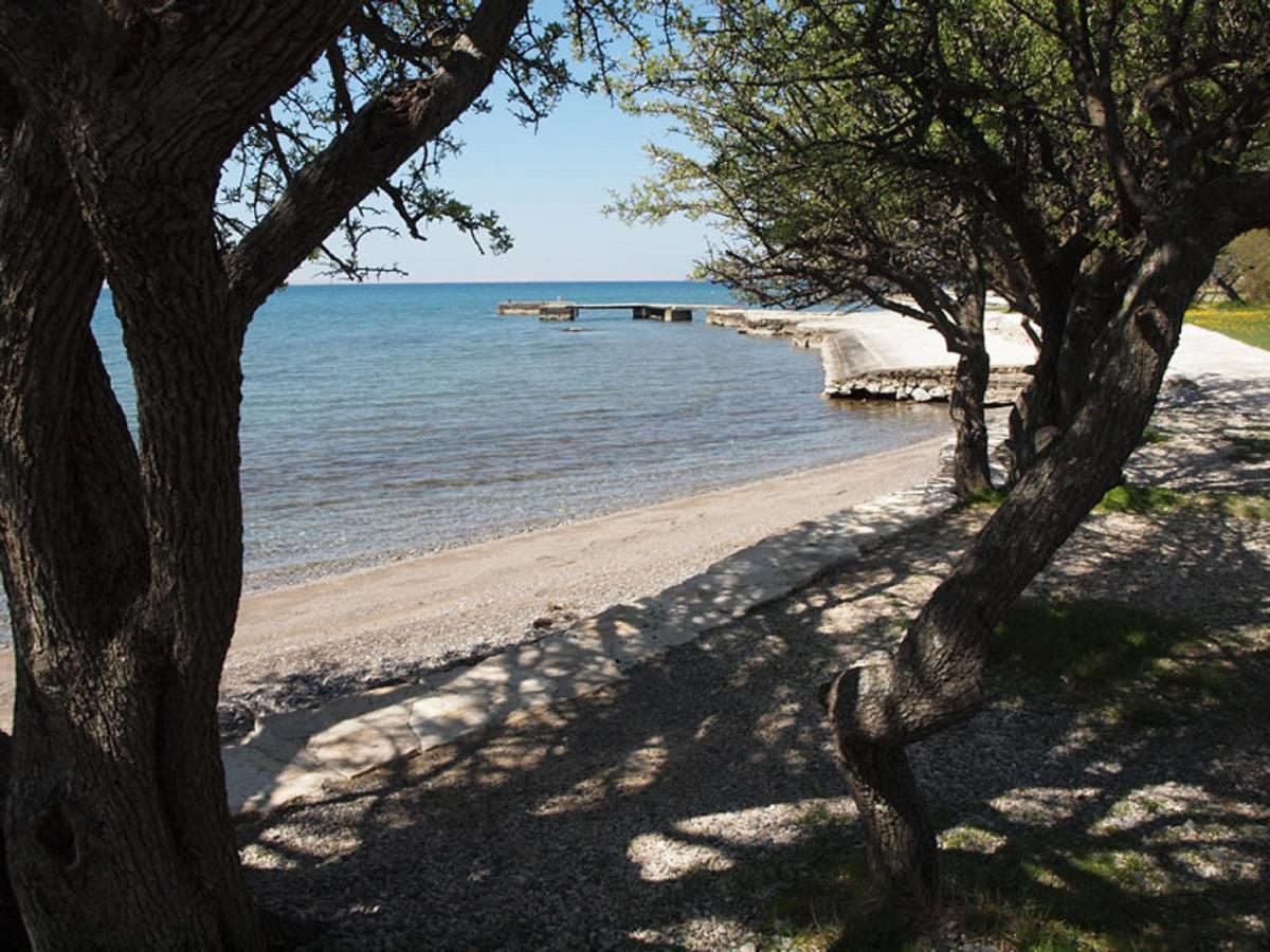 Apartments & Room Masa Starigrad Paklenica Exterior photo